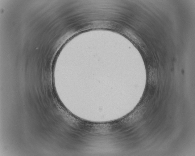X0000075390836200609251215