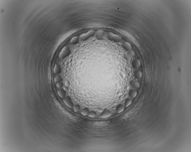 X0000075390839200609251215
