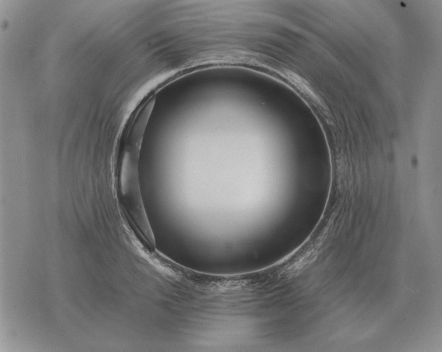 X0000075390846200609251216