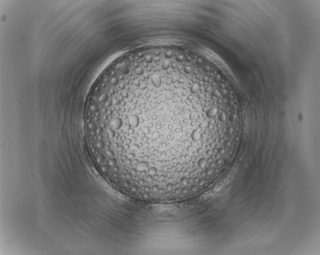 X0000075390852200609251216