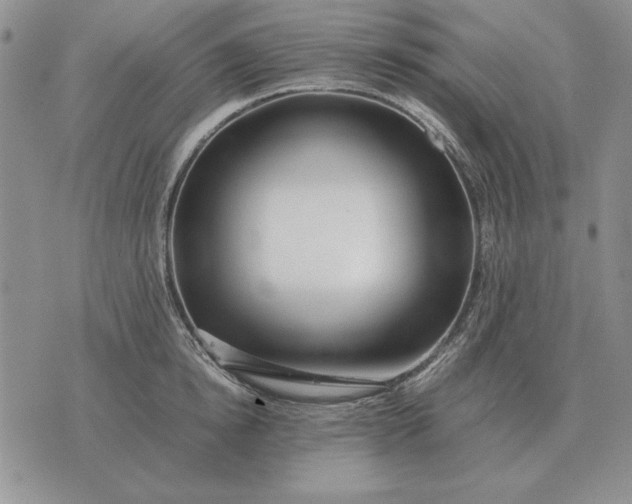 X0000075390854200609251216