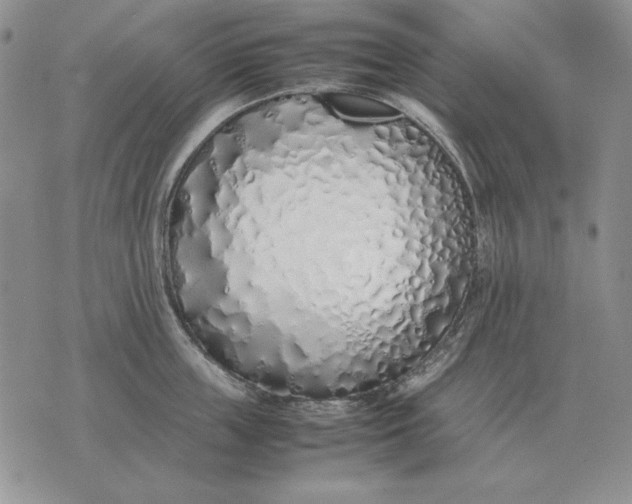 X0000075390859200609251216