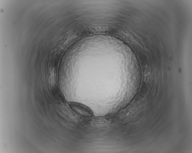 X0000075390866200609251215