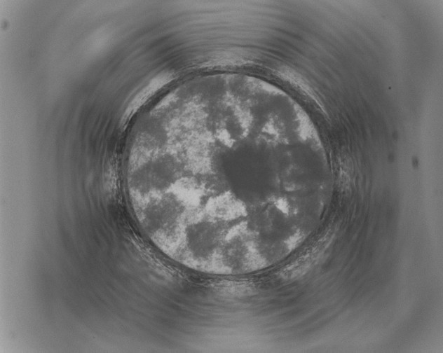 X0000075390874200609251215