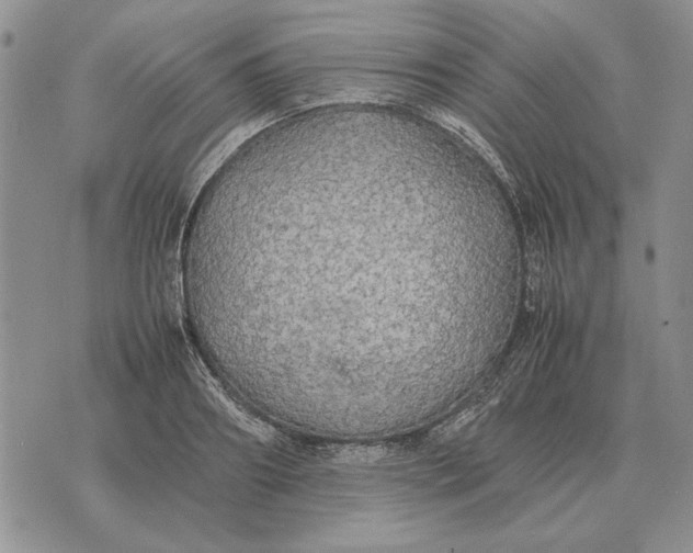 X0000075390890200609251215