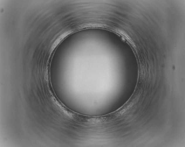 X0000075390898200609251215