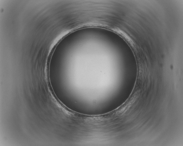X0000075390902200609251214