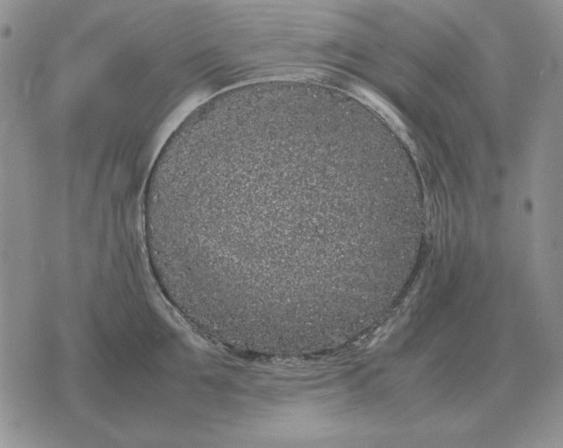 X0000075390907200609251214