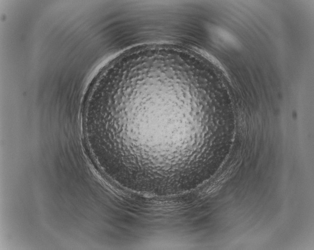 X0000075390935200609251214