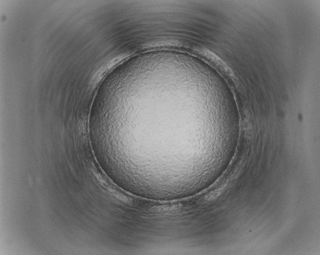 X0000075390937200609251214