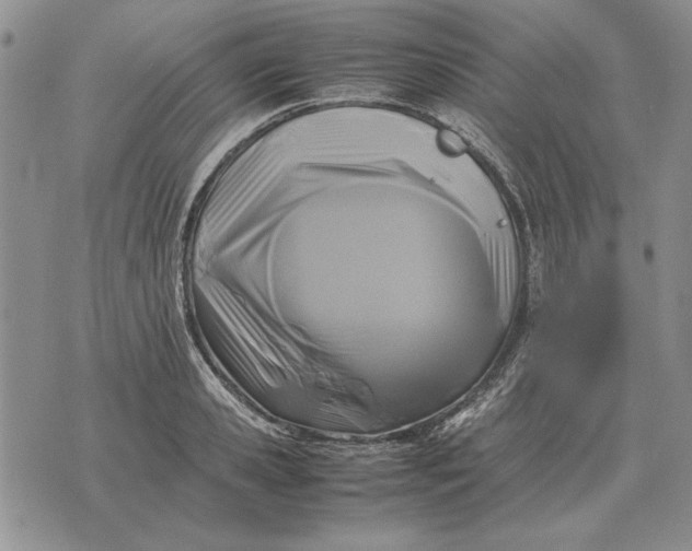 X0000075390941200609251214