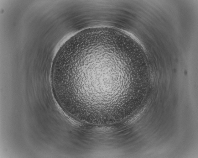 X0000075390943200609251214