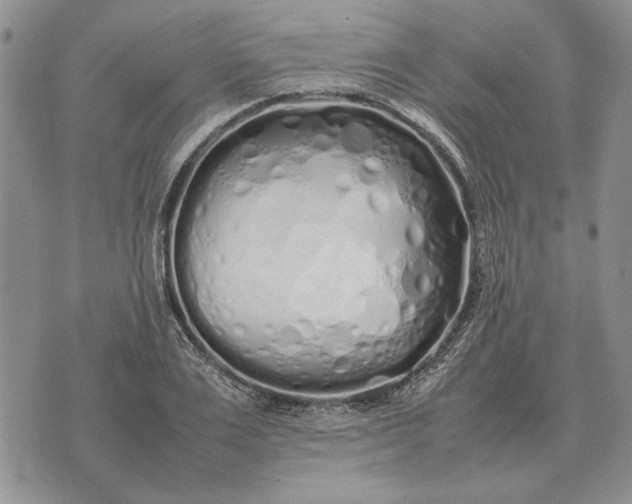 X0000075390983200609251213
