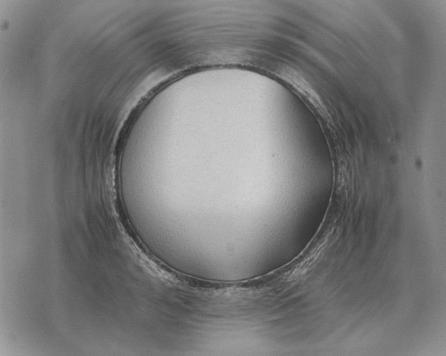 X0000075390992200609251213