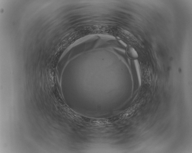 X0000075391013200609251212
