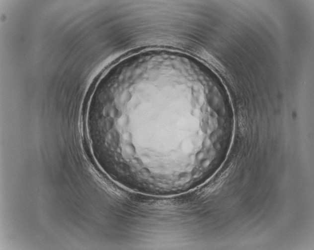 X0000075391028200609251212