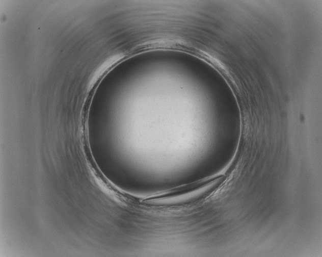 X0000075391042200609251212