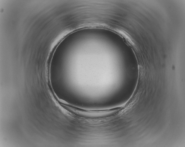 X0000075391046200609251212