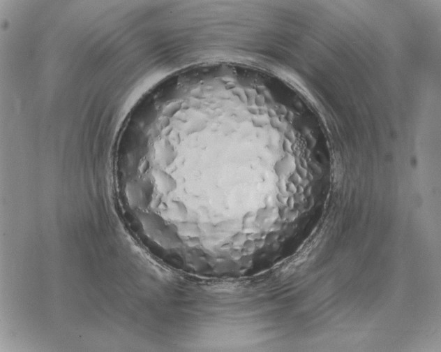 X0000075391048200609251212