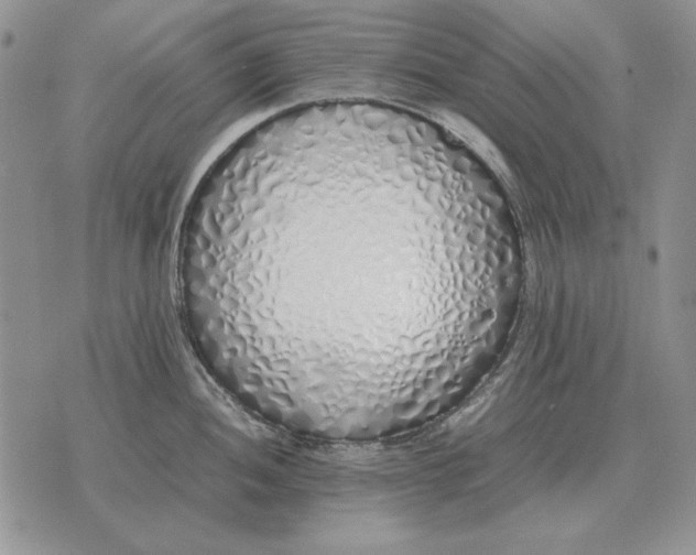 X0000075391052200609251212