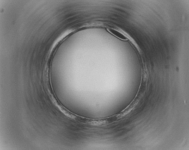 X0000075391053200609251213