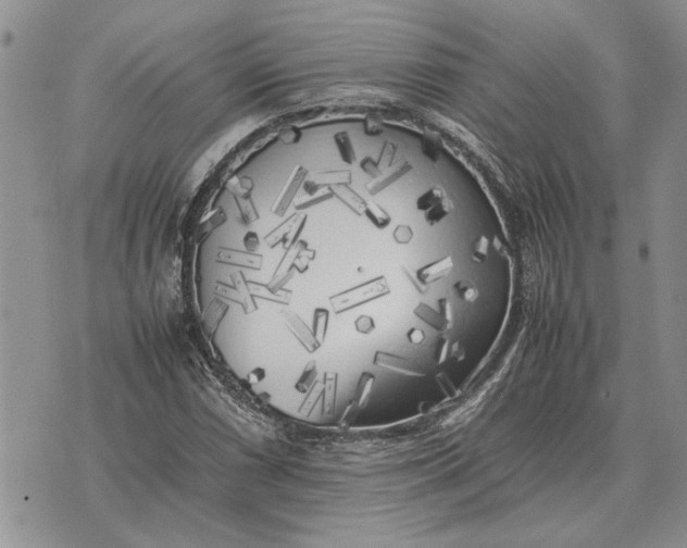 X0000075391066200609251212