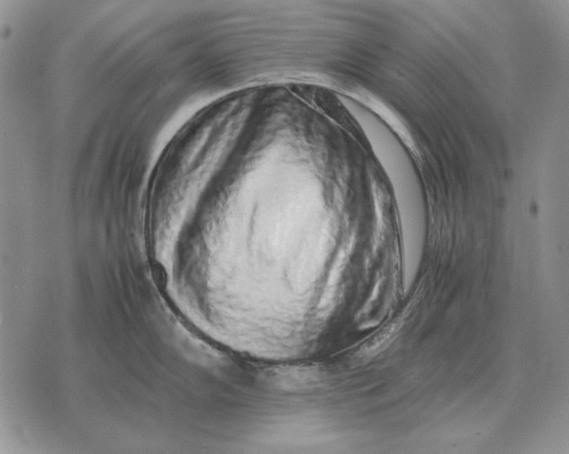 X0000075391102200609251211