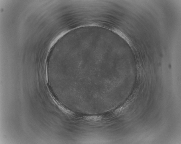 X0000075391127200609251211