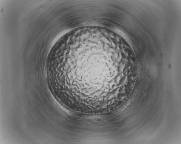 X0000075391141200609251211