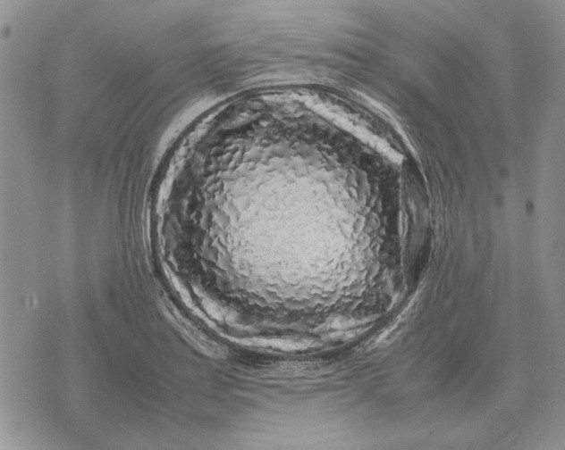 X0000075391179200609251210