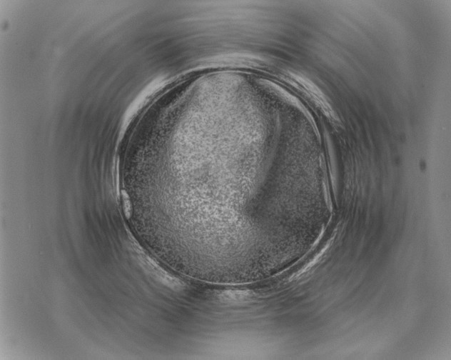 X0000075391180200609251210