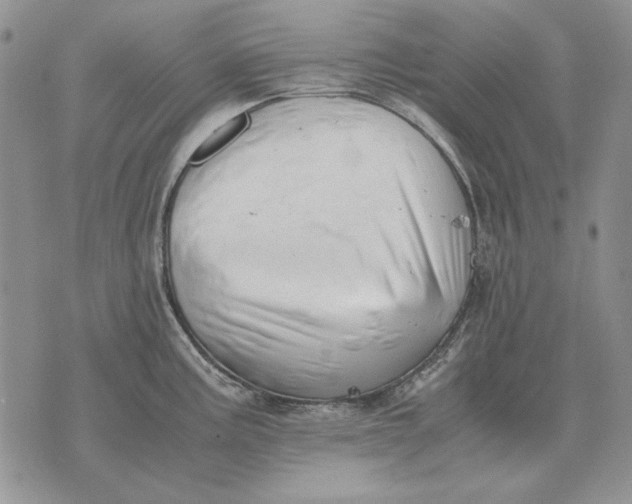 X0000075391195200609251210