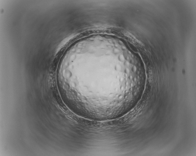 X0000075391208200609251209