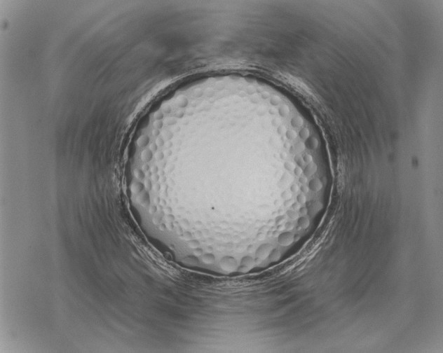 X0000075391212200609251209