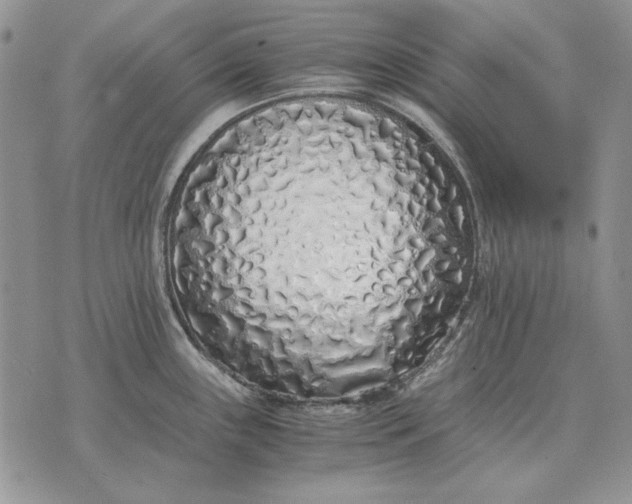 X0000075391243200609251209