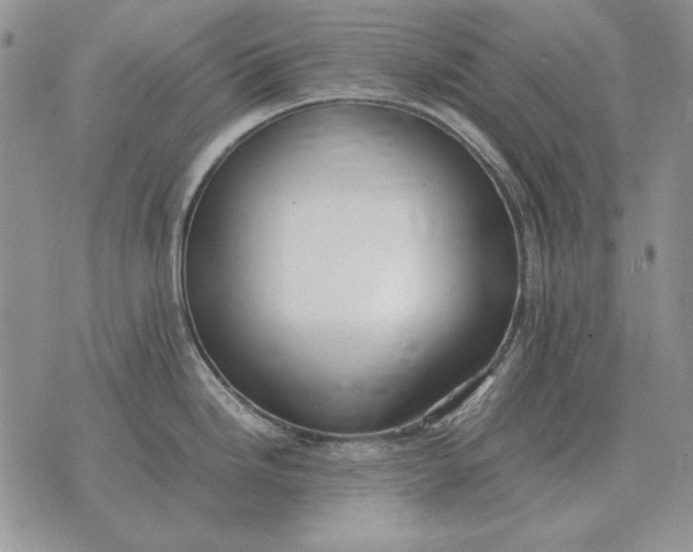 X0000075391246200609251209