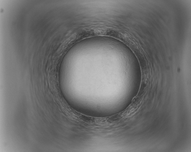 X0000075391249200609251209