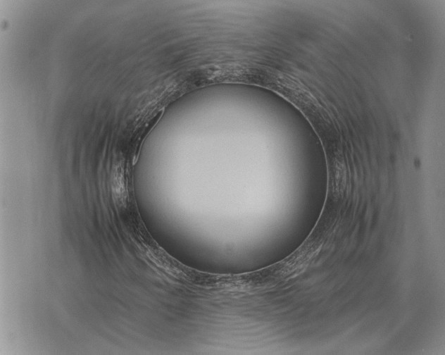 X0000075391250200609251209