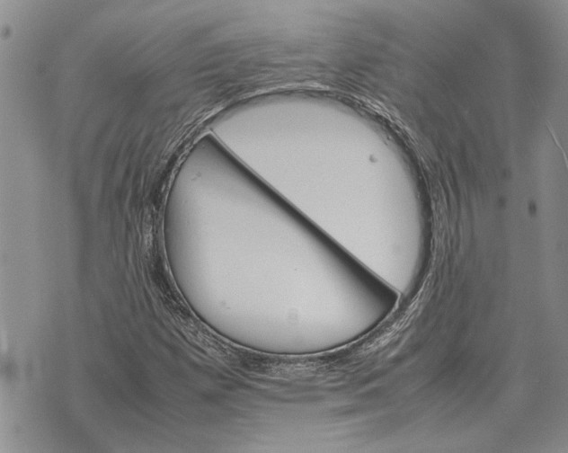 X0000075391257200609251208