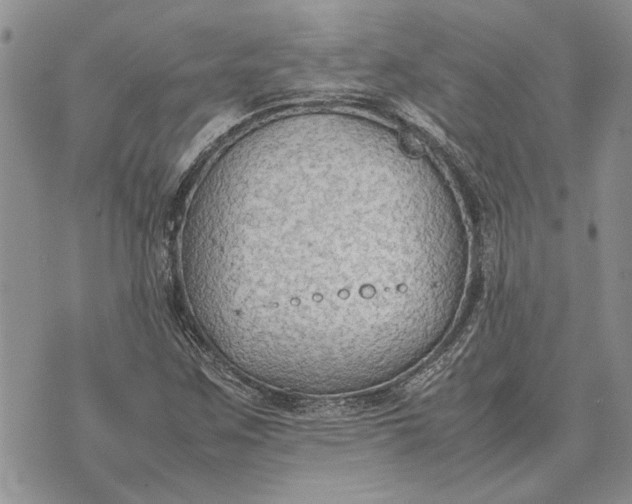 X0000075391259200609251208
