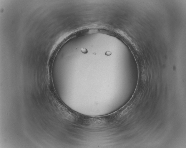 X0000075391270200609251208