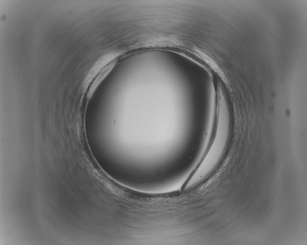 X0000075391277200609251208