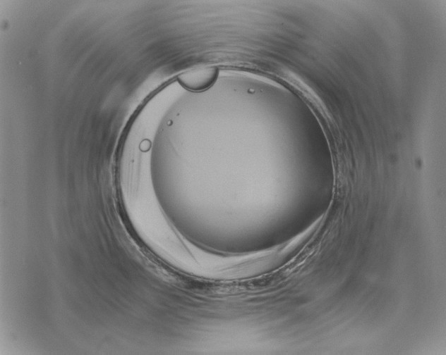 X0000075391291200609251208