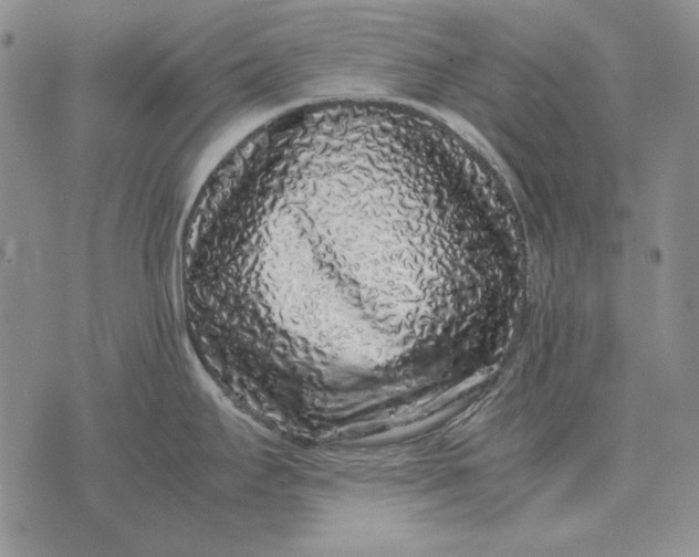 X0000075391295200609251208