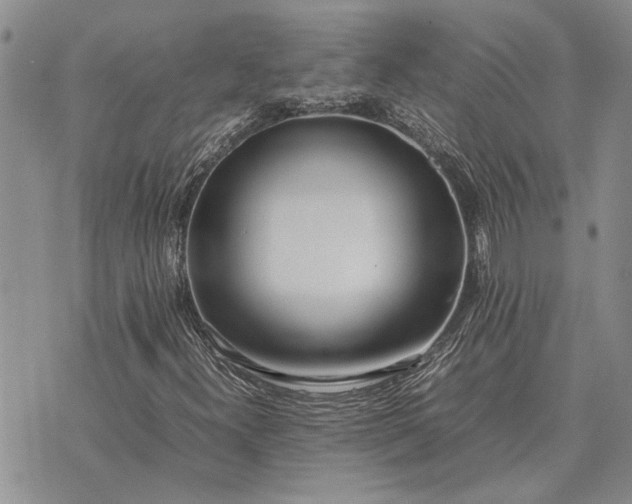 X0000075391300200609251207