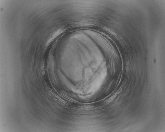 X0000075391306200609251207
