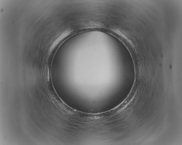 X0000075391317200609251207