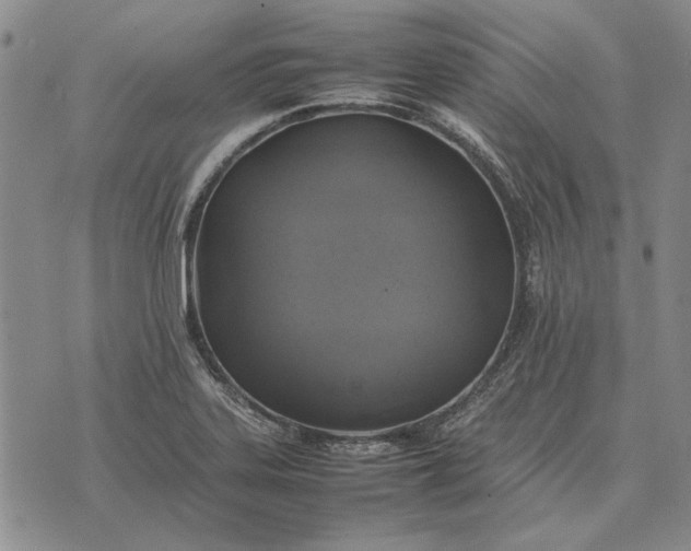 X0000075391323200609251208