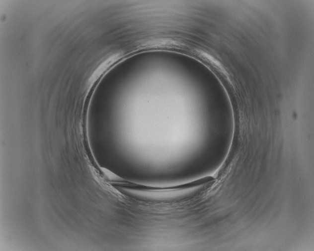 X0000075391330200609251208