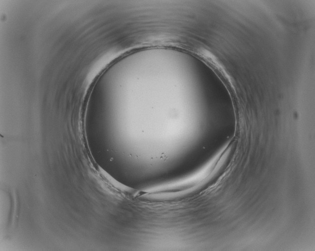 X0000075391336200609251208